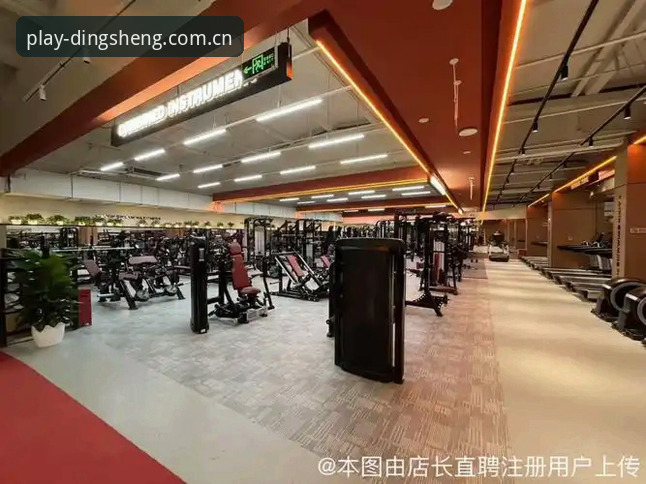 鼎盛体育平台最新版本下载指南与使用体验详解